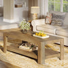 Natural Wood 2-Tier Coffee Table