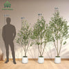 Artificial Olive Tree with White Planter