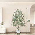 Artificial Olive Tree (Optional round White Plastic Pot) — Features a Sturdy Trunk and Realistic Fruit; Available in Heights Ranging from 5 to 8 Feet, Making It an Ideal Choice for Home and Office Décor