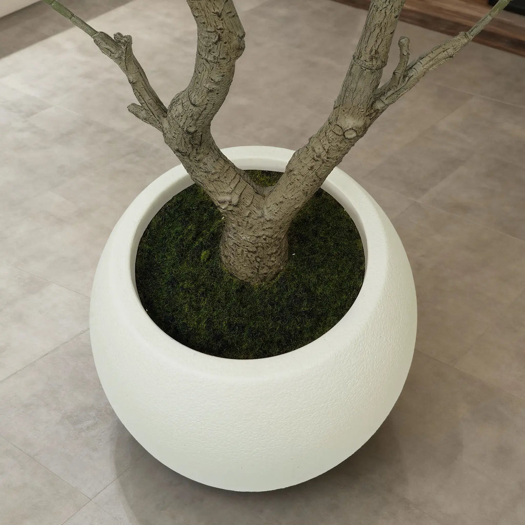 Artificial Olive Tree (Optional round White Plastic Pot) — Features a Sturdy Trunk and Realistic Fruit; Available in Heights Ranging from 5 to 8 Feet, Making It an Ideal Choice for Home and Office Décor