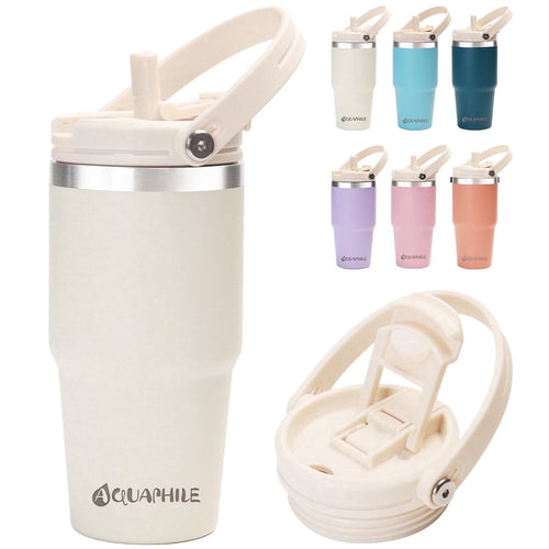 20 Oz Insulated Water Bottles with Straw Lid, Double Walled Vacuum Stainless Steel Travel Tumbler with Handle and Straw, Wide Mouth Thermos Bottle, Ivory